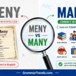 Split-screen comparison of Meny vs Many showing "many" as the correct English spelling for countable nouns and "meny" as a Swedish word meaning menu.