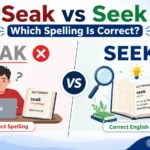 Split-screen educational illustration comparing Seak vs Seek, highlighting Seak as an incorrect spelling and Seek as the correct English word with grammar learning icons.