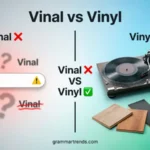 Comparison image showing Vinal vs Vinyl, highlighting Vinal as an incorrect spelling and Vinyl as the correct word used for records, flooring, PVC materials, decals, banners, and home products.