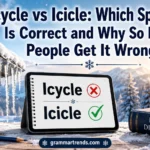 Icycle vs Icicle spelling comparison showing the correct English spelling with realistic winter icicles and an educational grammar theme.