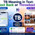 TB Meaning in Text Explained