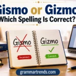 Notebook showing Gismo crossed out and Gizmo marked correct beside a laptop and dictionary for an English spelling guide.