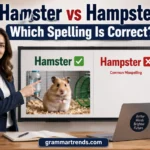 Hamster vs Hampster