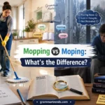 mopping vs moping