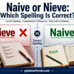 Naive or Nieve