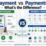 Payment vs Payments