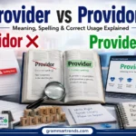Provider vs Providor