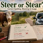 Steer or Stear