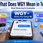 What Does WGY Mean in Text