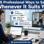 Professional Ways to Say "Whenever It Suits You"
