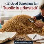 Good Synonyms for “Needle in a Haystack”
