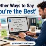 Other Ways to Say "You're the Best"