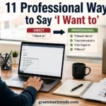 Professional Ways to Say “I Want to” in English